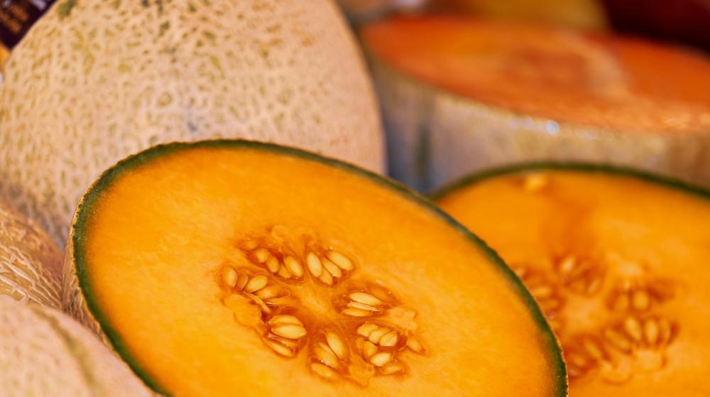 Melon - Egzotyczna Soczystość: Właściwości i Rodzaje Melonów