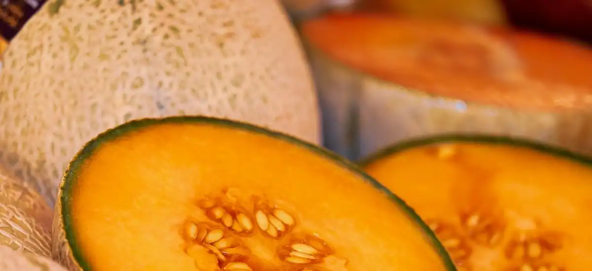 Melon - Egzotyczna Soczystość: Właściwości i Rodzaje Melonów