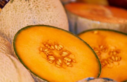 Melon - Egzotyczna Soczystość: Właściwości i Rodzaje Melonów