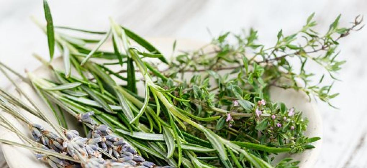 Zioła na wątrobę.