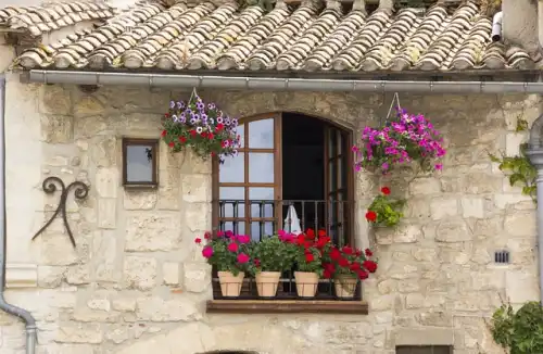 Ozdoba balkonu - niewymagające i wytrzymałe kwiaty