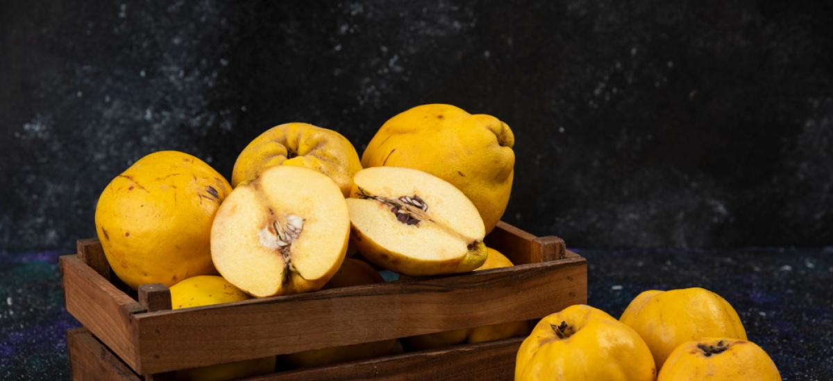 Pigwa - Owoce i Korzyści z Uprawy \'Polskiej Cytryny