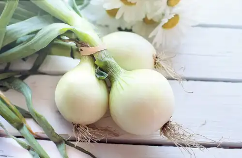 Jak posiekać cebulę i się nie zapłakać