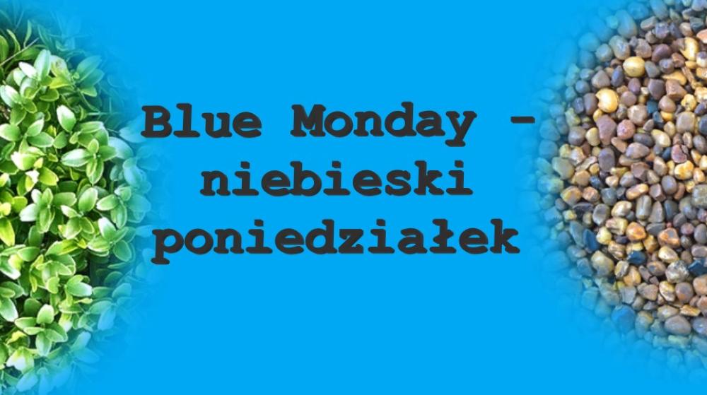 Wszystko o blue monady