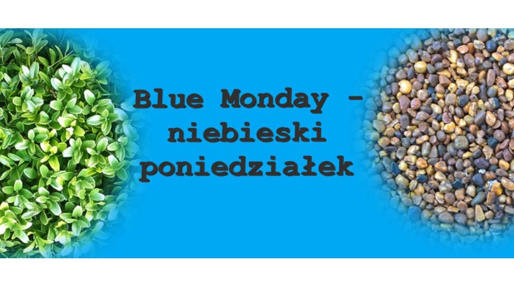 Wszystko o blue monady