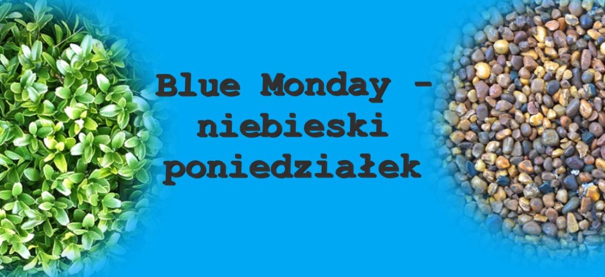 Wszystko o blue monady