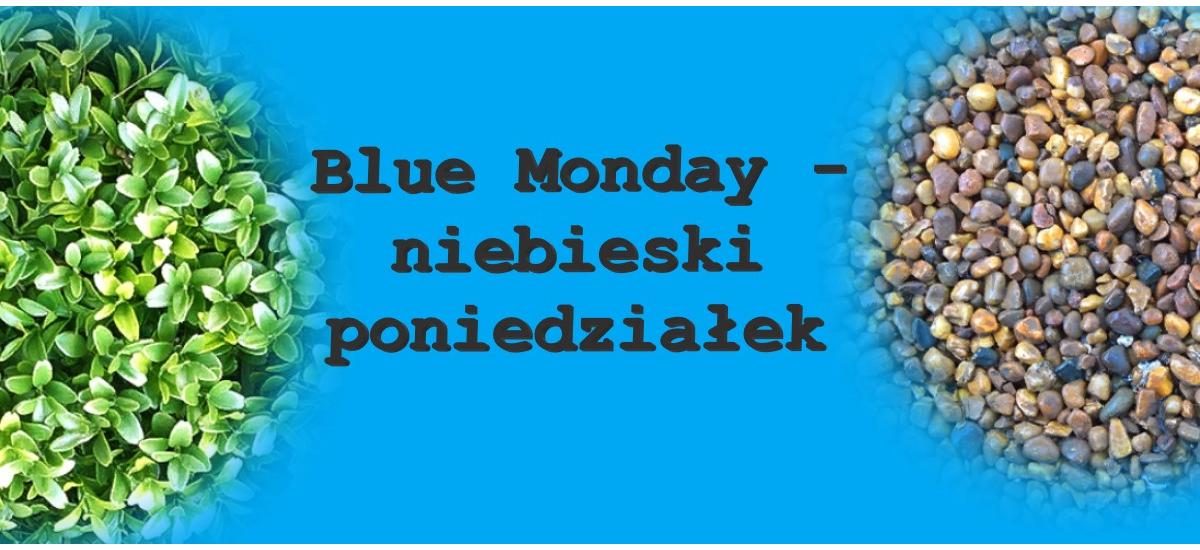 Wszystko o blue monady