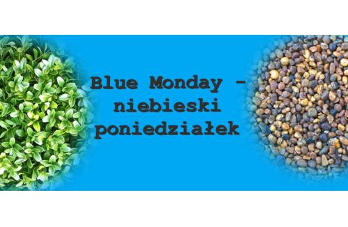 Wszystko o blue monady