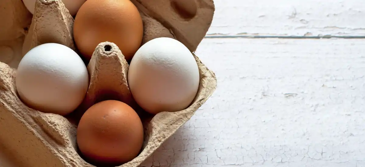 Jak długo gotować jajka na twardo i na miękko?