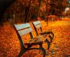 benches-g7d54231d1_1920.jpg
