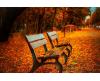 benches-g7d54231d1_1920.jpg