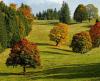 autumn-2800880_960_720.jpg