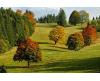 autumn-2800880_960_720.jpg