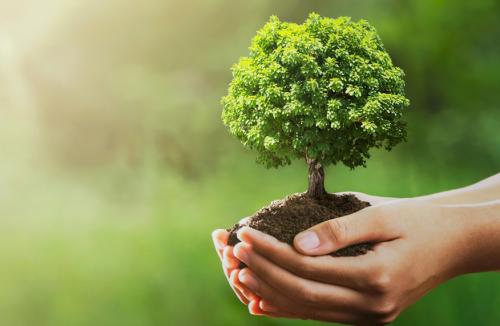 22 kwietnia – Światowy Dzień Ziemi. Dbajmy o planetę nie tylko od święta