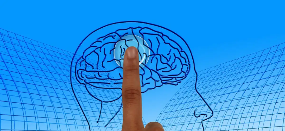 Co zrobić by mózg był sprawny przez długie lata? – cenne porady
