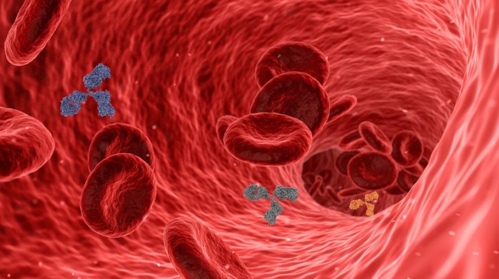 Cholesterol. Jak obniżyć jego poziom dietą? Lista produktów