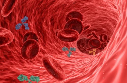Cholesterol. Jak obniżyć jego poziom dietą? Lista produktów