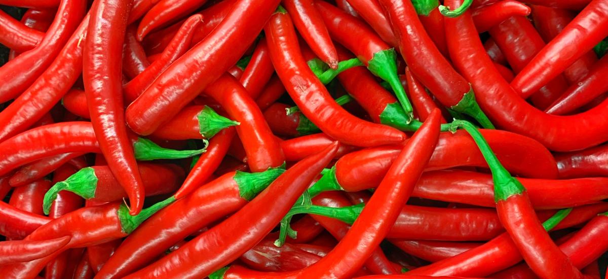 Marynowane papryczki chilli 